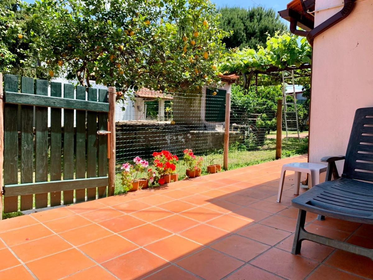 Casa Do Paco Aveiro Holidayhome Exterior photo